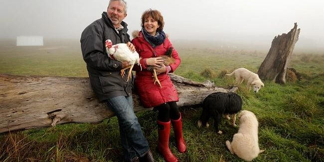 milkingyardfarm